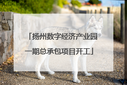 扬州数字经济产业园一期总承包项目开工