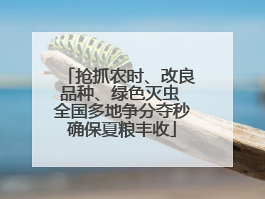 抢抓农时、改良品种、绿色灭虫 全国多地争分夺秒确保夏粮丰收