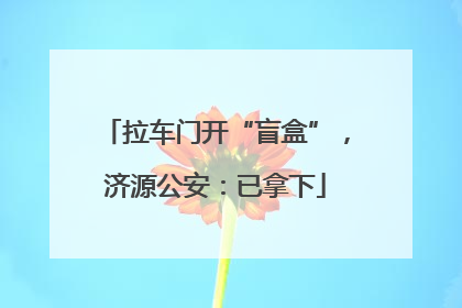 拉车门开“盲盒”，济源公安：已拿下