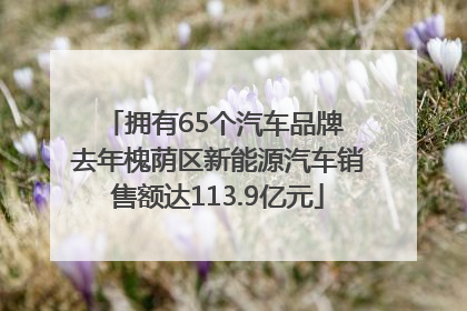 拥有65个汽车品牌 去年槐荫区新能源汽车销售额达113.9亿元