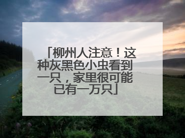 柳州人注意！这种灰黑色小虫看到一只，家里很可能已有一万只