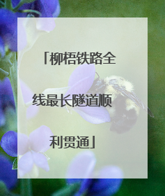 柳梧铁路全线最长隧道顺利贯通