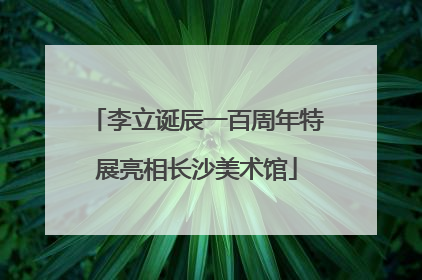 李立诞辰一百周年特展亮相长沙美术馆