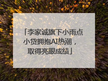 李家诚旗下小雨点小贷拥抱AI热潮，取得亮眼成绩