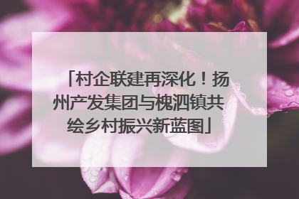 村企联建再深化！扬州产发集团与槐泗镇共绘乡村振兴新蓝图