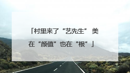 村里来了“艺先生” 美在“颜值”也在“根”