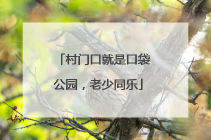 村门口就是口袋公园，老少同乐