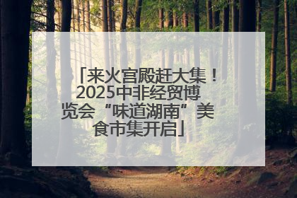 来火宫殿赶大集！2025中非经贸博览会“味道湖南”美食市集开启