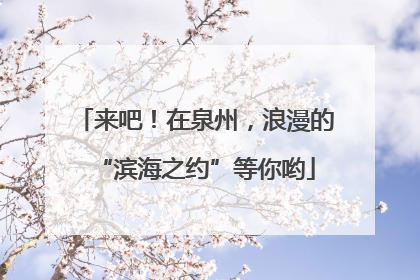 来吧！在泉州，浪漫的“滨海之约”等你哟