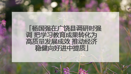 杨国强在广饶县调研时强调 把学习教育成果转化为高质量发展成效 推动经济稳健向好进中提质