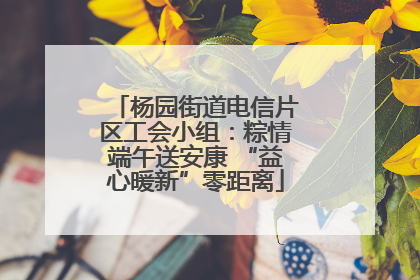 杨园街道电信片区工会小组：粽情端午送安康 “益心暖新”零距离