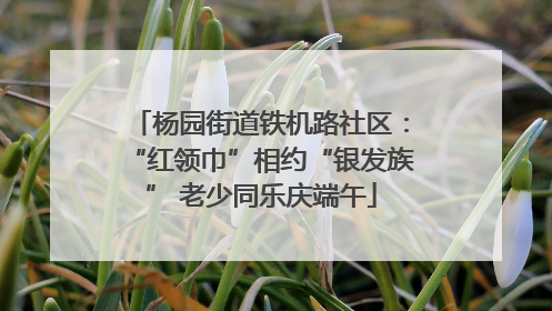 杨园街道铁机路社区：“红领巾”相约“银发族” 老少同乐庆端午