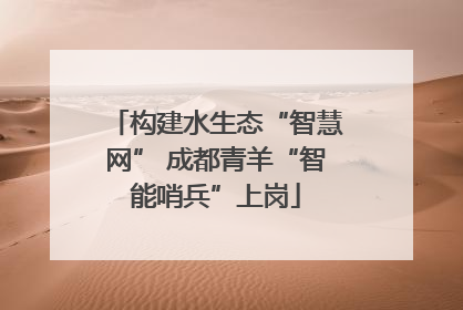 构建水生态“智慧网” 成都青羊“智能哨兵”上岗
