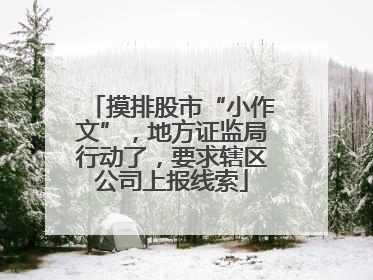 摸排股市“小作文”，地方证监局行动了，要求辖区公司上报线索