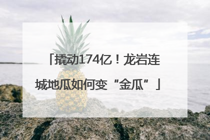 撬动174亿！龙岩连城地瓜如何变“金瓜”