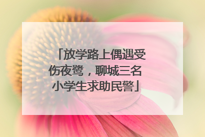 放学路上偶遇受伤夜鹭，聊城三名小学生求助民警