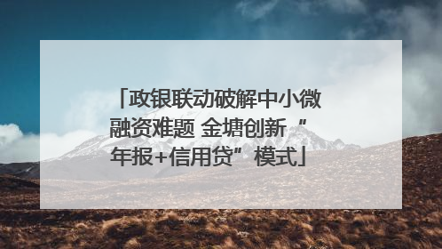 政银联动破解中小微融资难题 金塘创新“年报+信用贷”模式