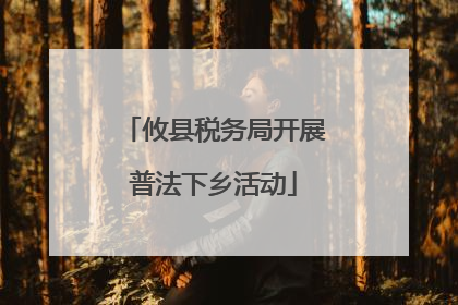 攸县税务局开展普法下乡活动