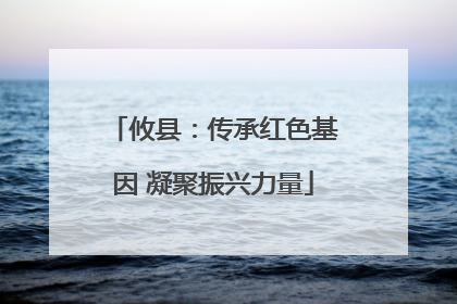 攸县：传承红色基因 凝聚振兴力量