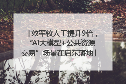 效率较人工提升9倍，“AI大模型+公共资源交易”场景在启东落地