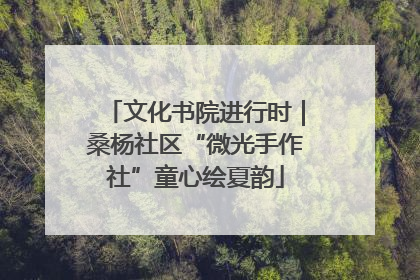 文化书院进行时｜桑杨社区“微光手作社”童心绘夏韵