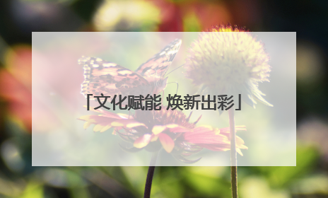 文化赋能 焕新出彩