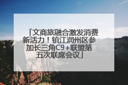 文商旅融合激发消费新活力！镇江润州区参加长三角C9+联盟第五次联席会议