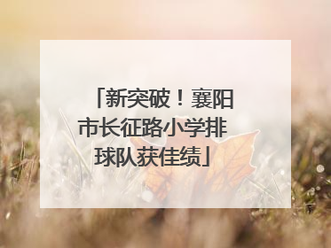 新突破！襄阳市长征路小学排球队获佳绩