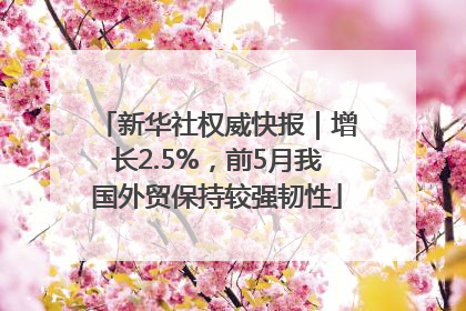 新华社权威快报｜增长2.5%，前5月我国外贸保持较强韧性