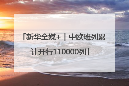 新华全媒+｜中欧班列累计开行110000列