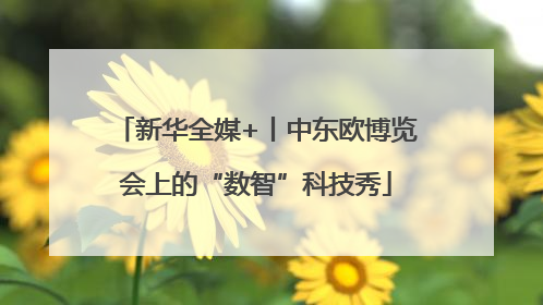 新华全媒+丨中东欧博览会上的“数智”科技秀