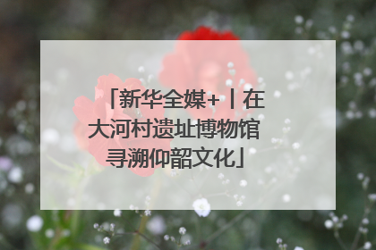 新华全媒+丨在大河村遗址博物馆寻溯仰韶文化