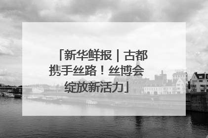 新华鲜报｜古都携手丝路！丝博会绽放新活力