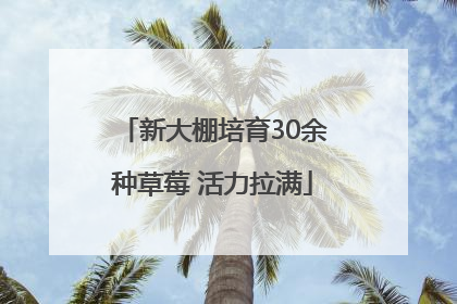 新大棚培育30余种草莓 活力拉满