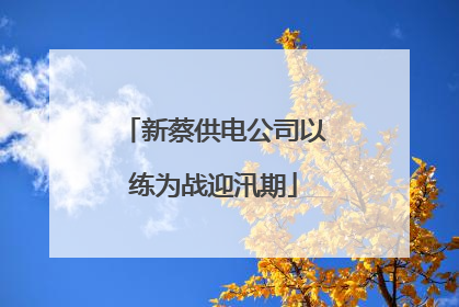 新蔡供电公司以练为战迎汛期