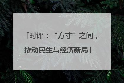 时评：“方寸”之间，撬动民生与经济新局