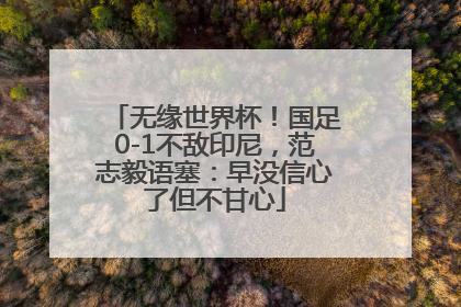 无缘世界杯！国足0-1不敌印尼，范志毅语塞：早没信心了但不甘心