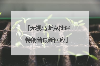 无视马斯克批评 特朗普最新回应
