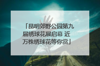 昆明郊野公园第九届绣球花展启幕 近万株绣球花等你赏