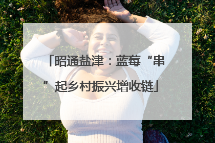 昭通盐津：蓝莓“串”起乡村振兴增收链