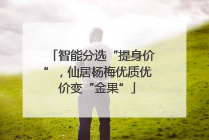智能分选“提身价”，仙居杨梅优质优价变“金果”