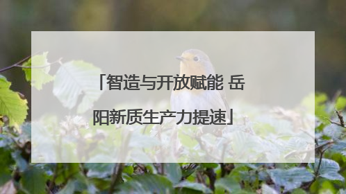 智造与开放赋能 岳阳新质生产力提速