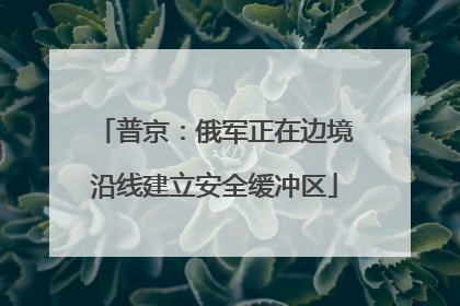 普京：俄军正在边境沿线建立安全缓冲区