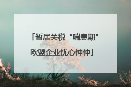 暂居关税“喘息期” 欧盟企业忧心忡忡