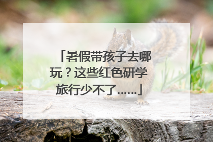 暑假带孩子去哪玩？这些红色研学旅行少不了……