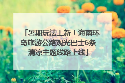 暑期玩法上新！海南环岛旅游公路观光巴士6条清凉主题线路上线