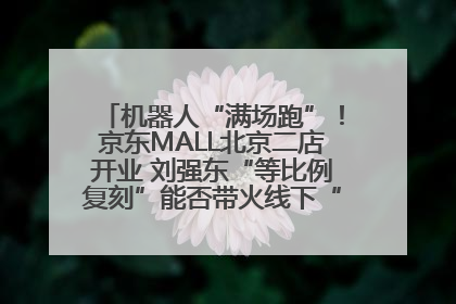 机器人“满场跑”！京东MALL北京二店开业 刘强东“等比例复刻”能否带火线下“618”？