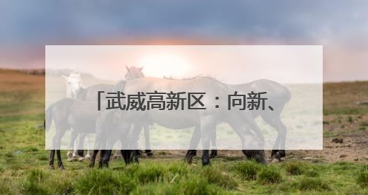 武威高新区：向新、向质加速转型升级