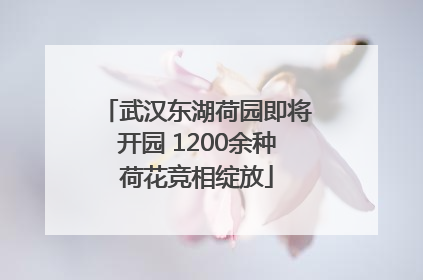 武汉东湖荷园即将开园 1200余种荷花竞相绽放