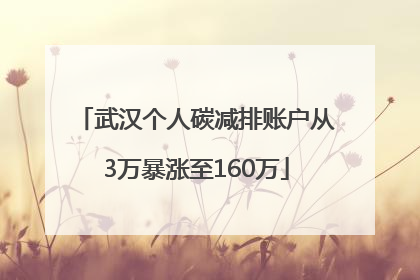 武汉个人碳减排账户从3万暴涨至160万